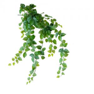 110cm devil's ivy bush hanging x 16 branch