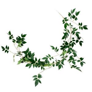 170cm artificial Golden Rain Tree leaf vine