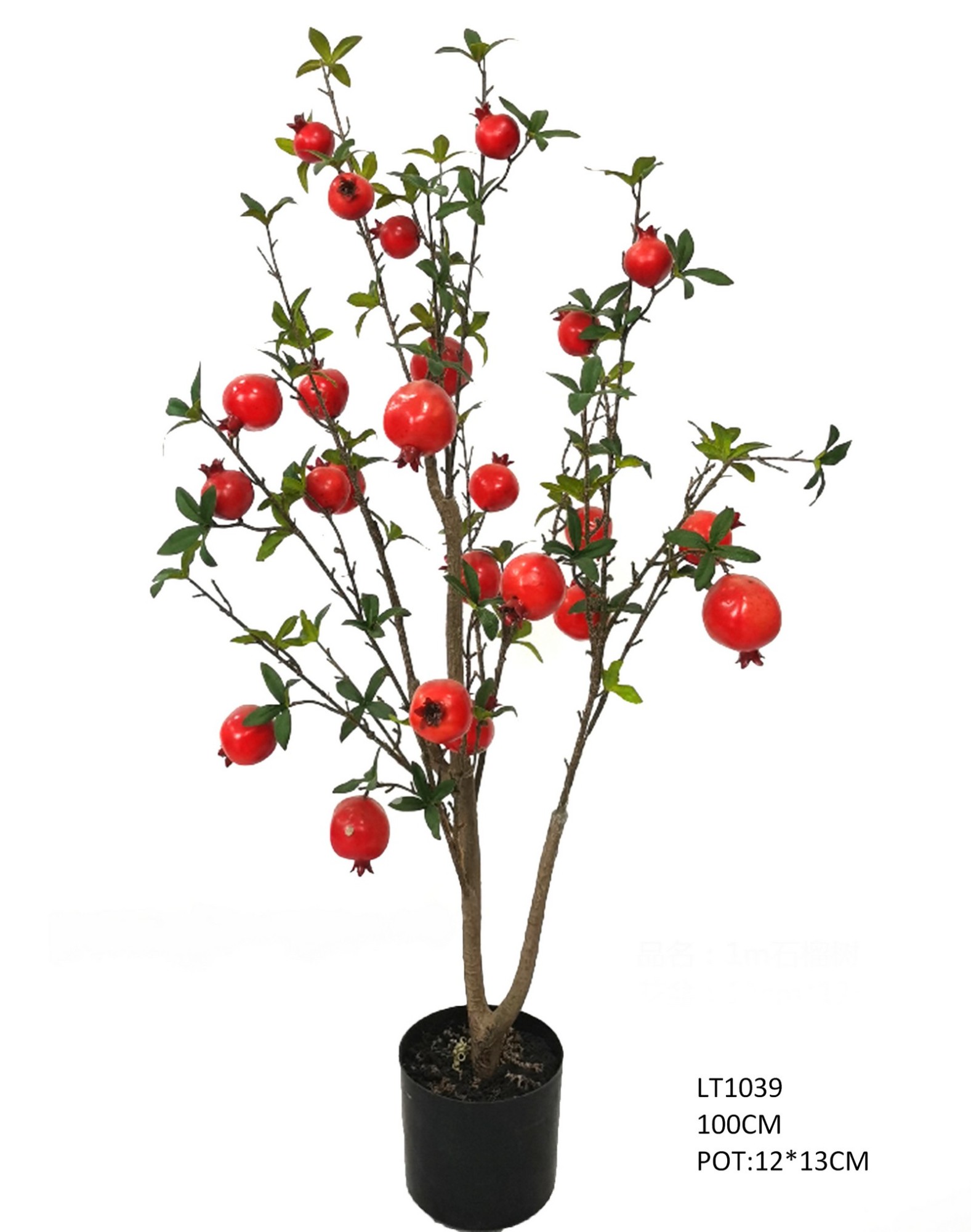 1m pomegranate tree