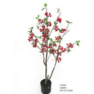 1m winter berry tree