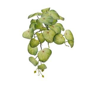 22cm caladium bicolor bush hanging LY16805