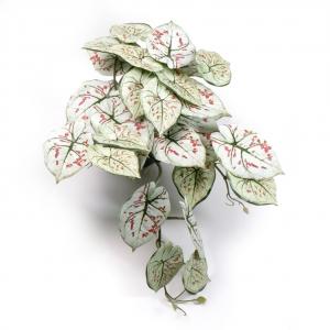 23cm Anthurium Clarinervium houseplant potted