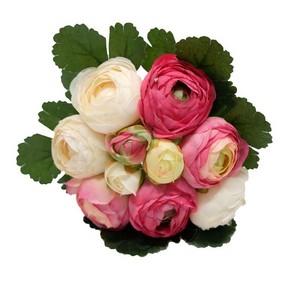 24cm   ranunculus bouquet x10 head LY13874