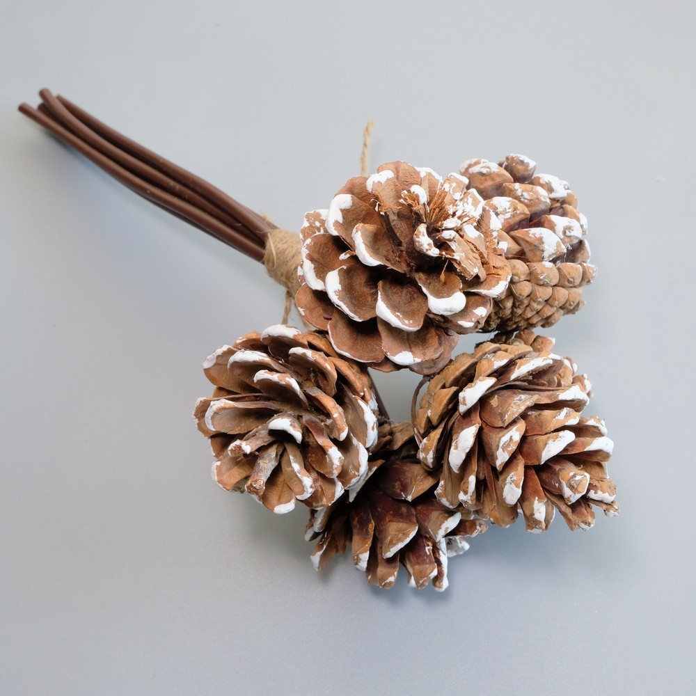 25cm 6 heads pine cone bunch natural color with white tips x6