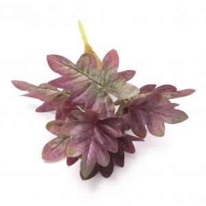 25cm Philodendron selloum bush 7 lvs