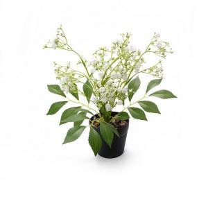 28cm gypso plant potted