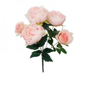 3 Peony 3 Rose bush LY18110