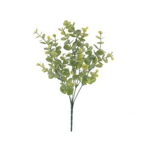 34cm  eucalytus bush x5 stem LY15232