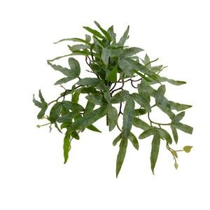 35cm Felt fern Pyrrosia hastata LY16801