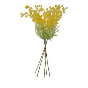 35cm mimosa bundle x5 LY27417