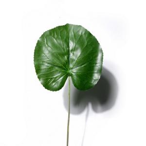 37CM Lotus Leaf LY15254B