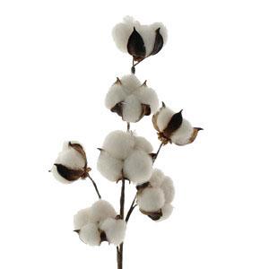 42cm cotton spray LY204013