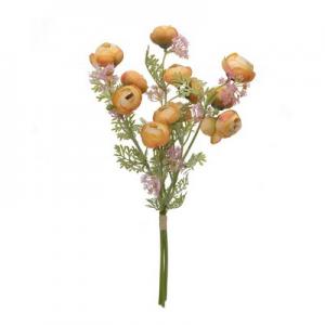 43cm Malus bundle x3 