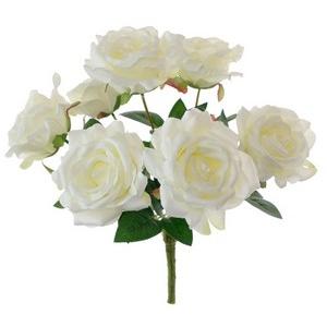 43cm rose bush x 7  LY11948 