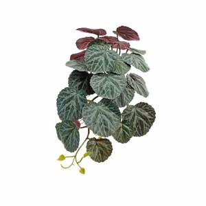 45cm Strawberry Begonia or Saxifraga stolonifera   bush hanging LY16803