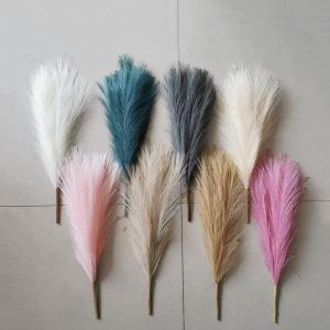 45cm pampas grass bush