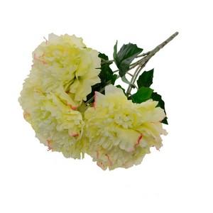 47 peony bushx5 LY27721