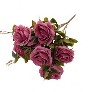 47cm brazil rose bush x10 LY14468