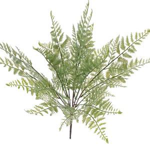 48cm fern leave bush LY16647