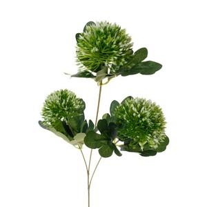 49cm Allium stem  x3 LY16445