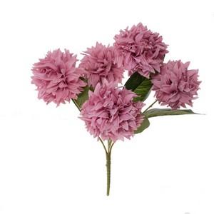 5 head mums bush LY27598