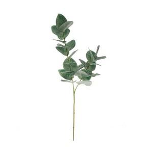 50cm eucalyptus branch LY16509