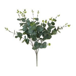 50cm eucalyptus bush LY00920