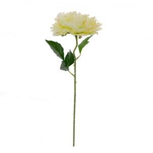 50cm single peony LY27722