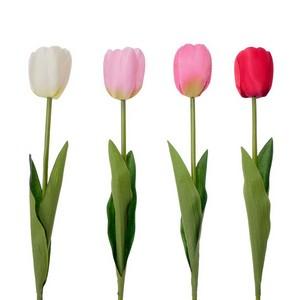 50cm tulip stem LY330002