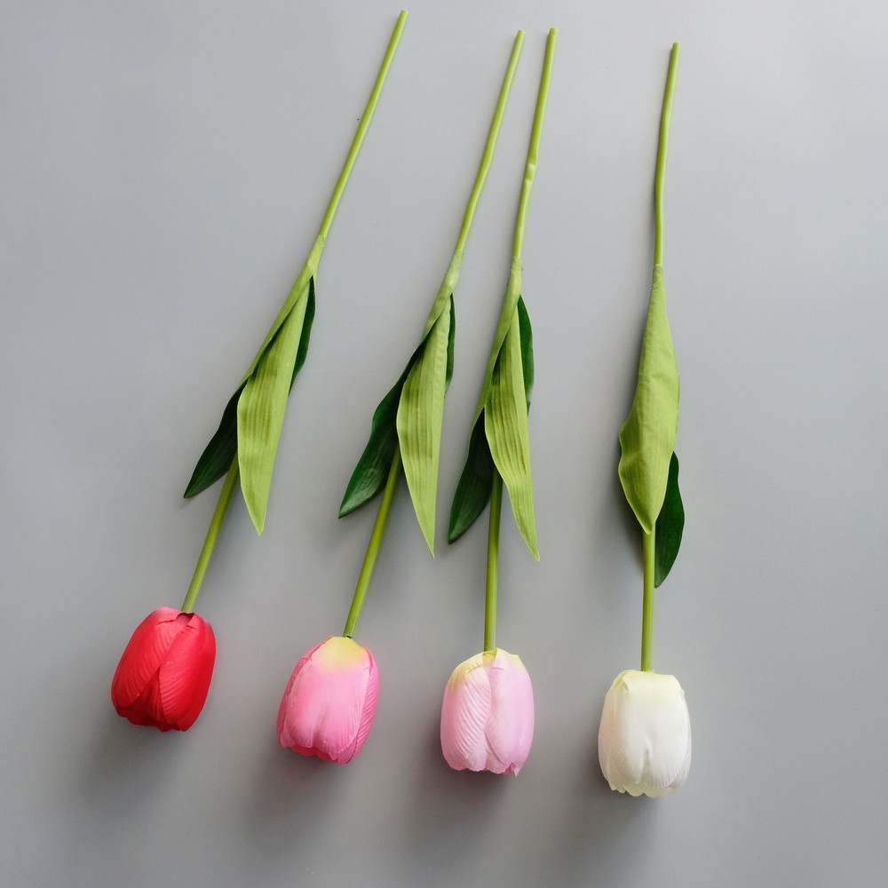 50cm tulip stem LY330002
