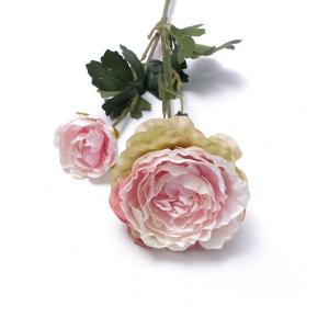 51 cm ranunculus stem