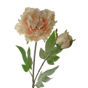 52cm frosted peony stem LY201051