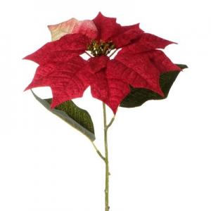 53cm Poinsettia stem LY8822064