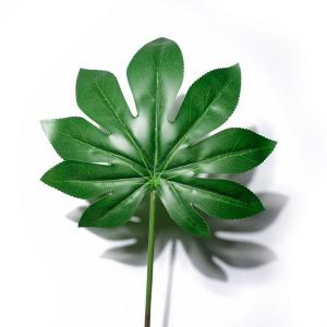 55CM Japanese Aralia  LY15253