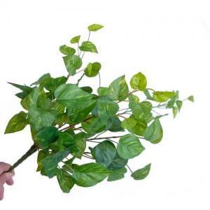 55cm devils ivy bushx9 branch