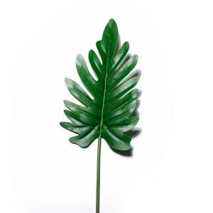 58cm Philodendron selloum  LY15252B