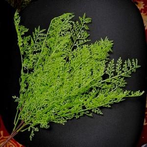 58cm fern leave bush LY16655 etc 