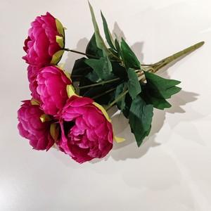 6 head peony bush  LY18109