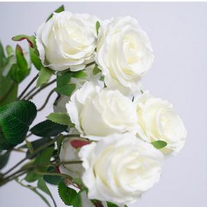 6 heads rose spray LY124302