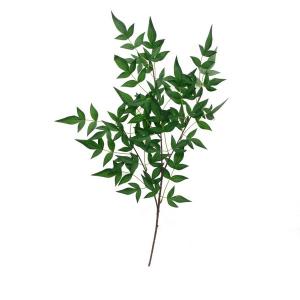 60cm Heavenly BambooNandinaSacred Bamboo