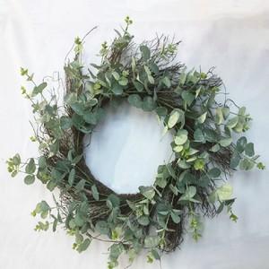 60cm eucalyptus wreath LY00529MG