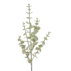 60cm frosted eucalyptus spray LY203023 