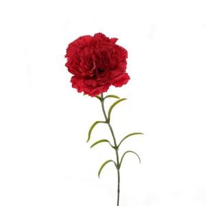 60cm single carnation LY27731