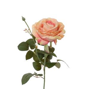 64cm Ireland rose stem LY70126