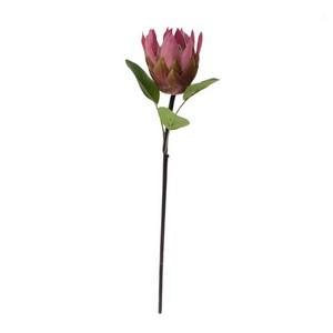 65cm  protea LY27730