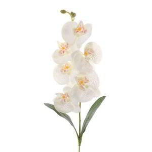 68cm orchid LY12464A