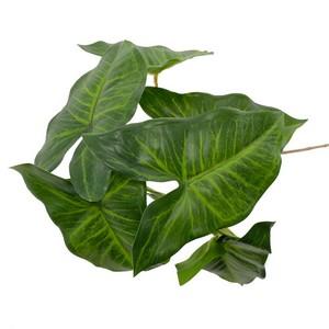 68cm taro leave LY00901