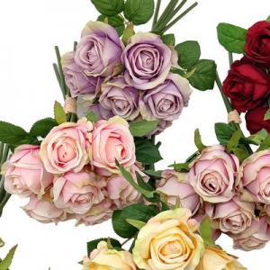 7 heads rose bush LY122329