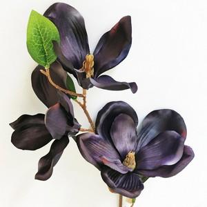 72cm Magnolia stem LY104040