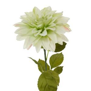 73cm dahlia stem LY16639